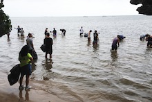 Students collecting algae
